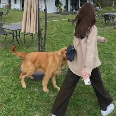 索命